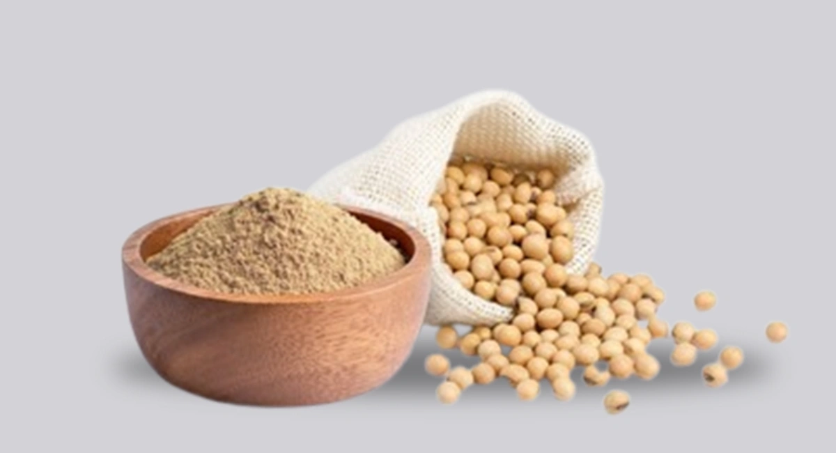Fermented Soya Sauce Powder Manufacturers