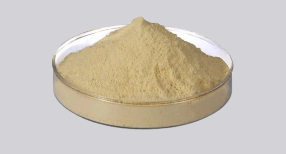 Protein Hydrolysate Powder Manufacturers