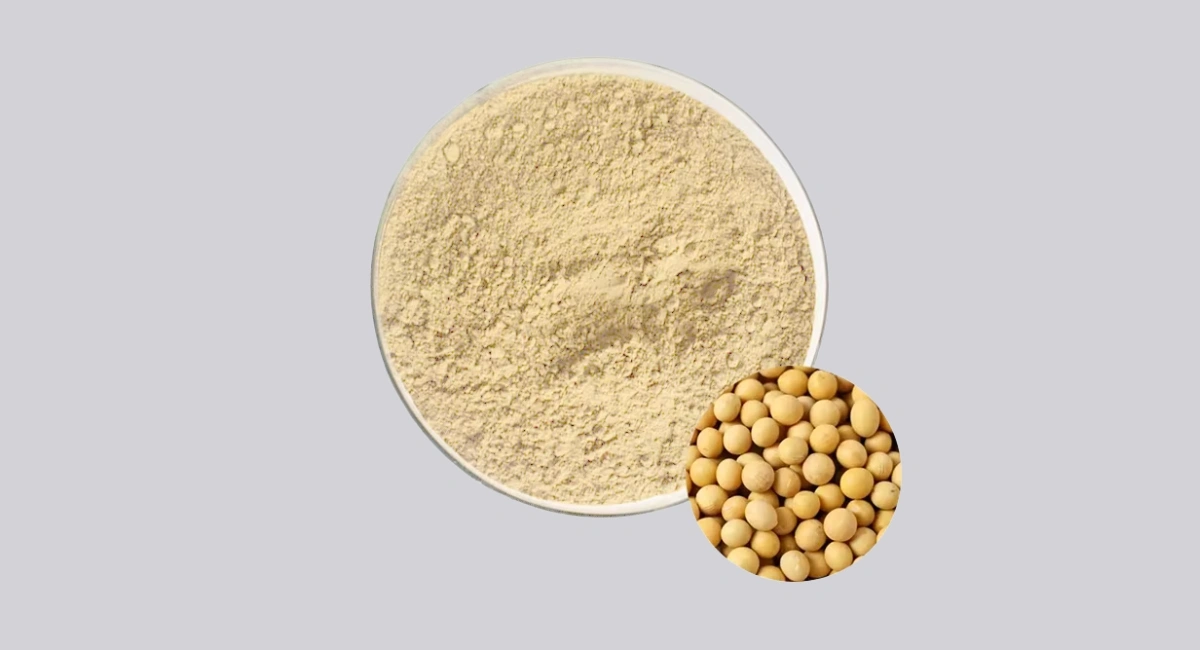 Soya Protein Isolate Manufacturers