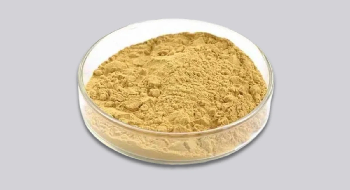Yeast Extract Manufacturers